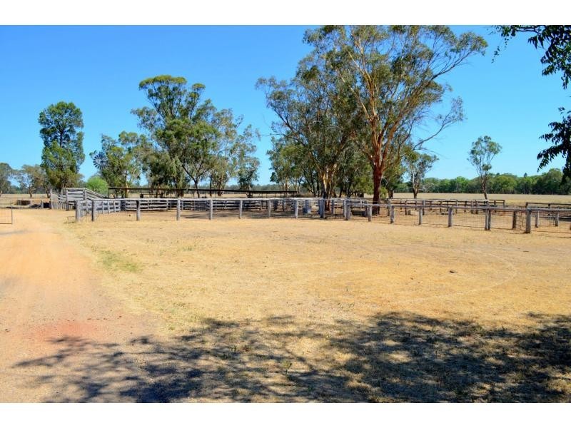 “Pineleigh” 130R Goan Creek Road, Ballimore NSW 2830