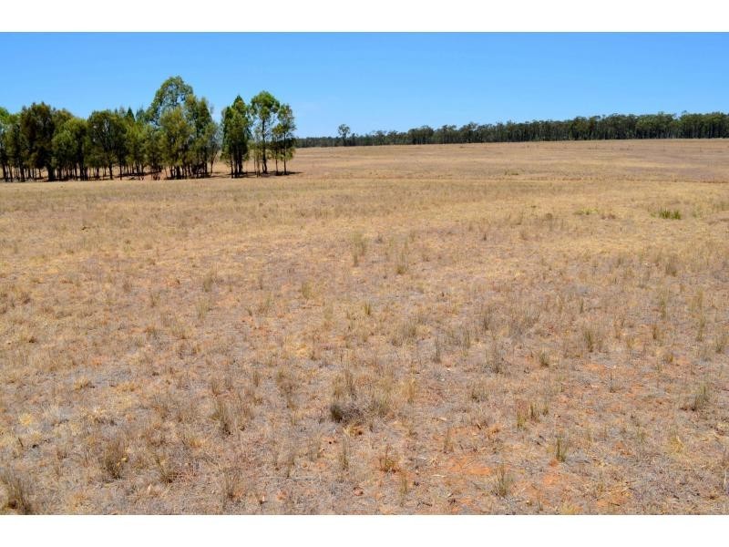 “Pineleigh” 130R Goan Creek Road, Ballimore NSW 2830