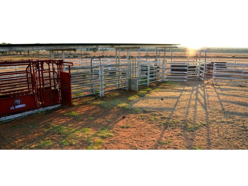“The Pinnacle” 180L Mendooran Road, Dubbo NSW 2830
