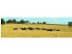 “The Pinnacle” 180L Mendooran Road, Dubbo NSW 2830