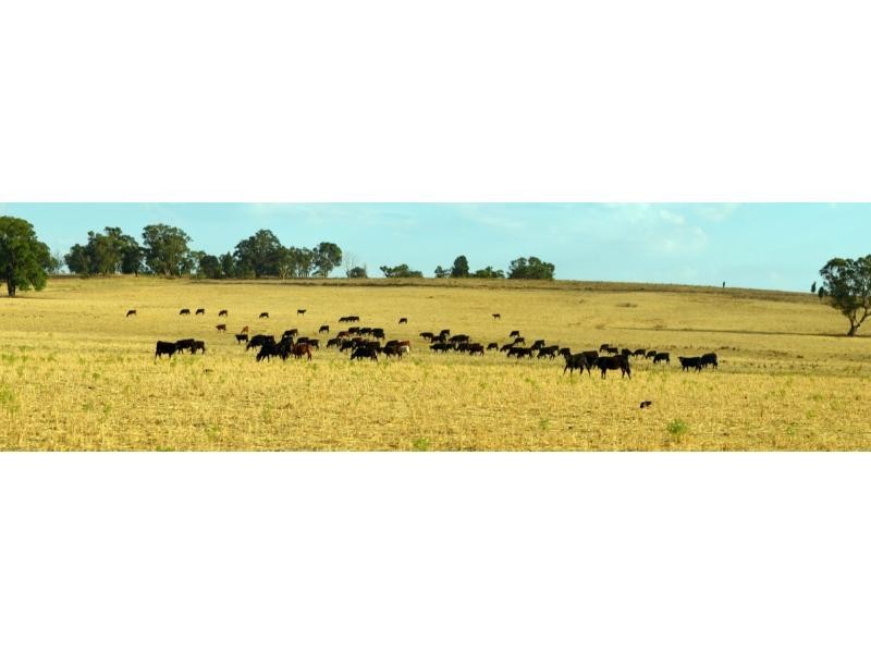 “The Pinnacle” 180L Mendooran Road, Dubbo NSW 2830