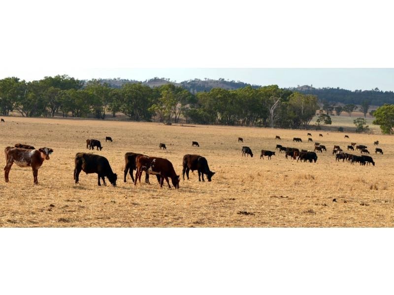 “The Pinnacle” 180L Mendooran Road, Dubbo NSW 2830
