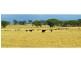 “The Pinnacle” 180L Mendooran Road, Dubbo NSW 2830