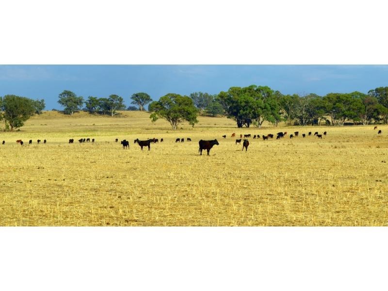 “The Pinnacle” 180L Mendooran Road, Dubbo NSW 2830