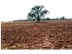 “The Pinnacle” 180L Mendooran Road, Dubbo NSW 2830