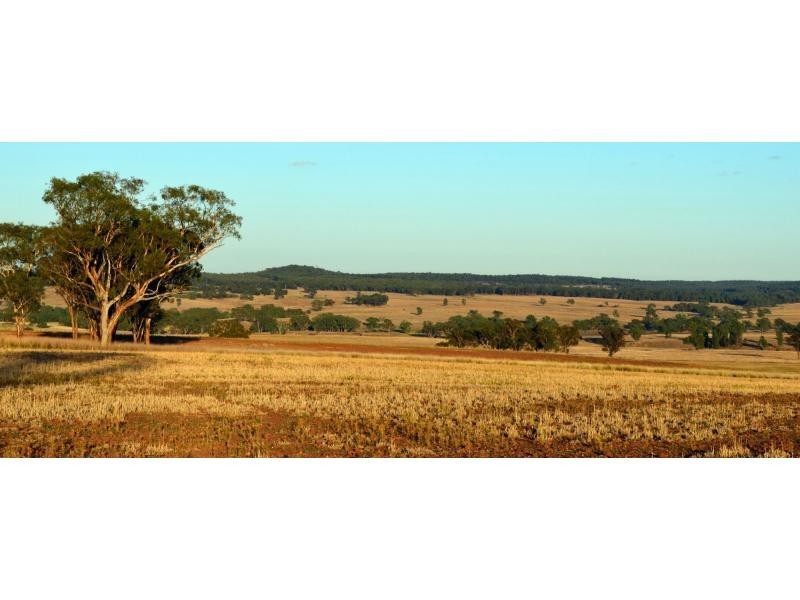 “Pine Park” &”Ewetopia” Boomley Road, Elong Elong NSW 2831