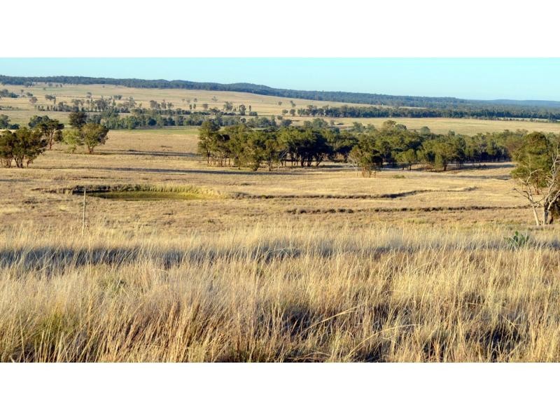“Pine Park” &”Ewetopia” Boomley Road, Elong Elong NSW 2831
