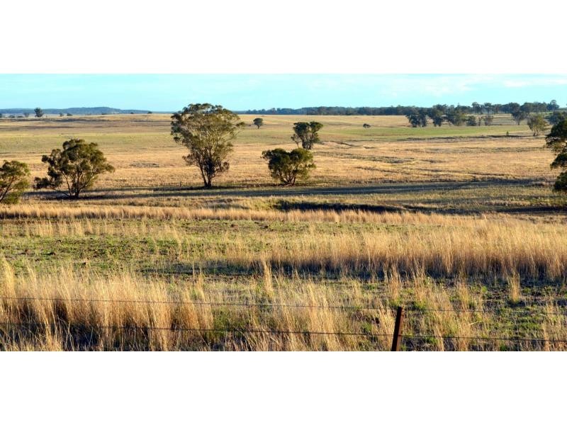 “Pine Park” &”Ewetopia” Boomley Road, Elong Elong NSW 2831