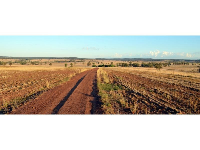 “Pine Park” &”Ewetopia” Boomley Road, Elong Elong NSW 2831