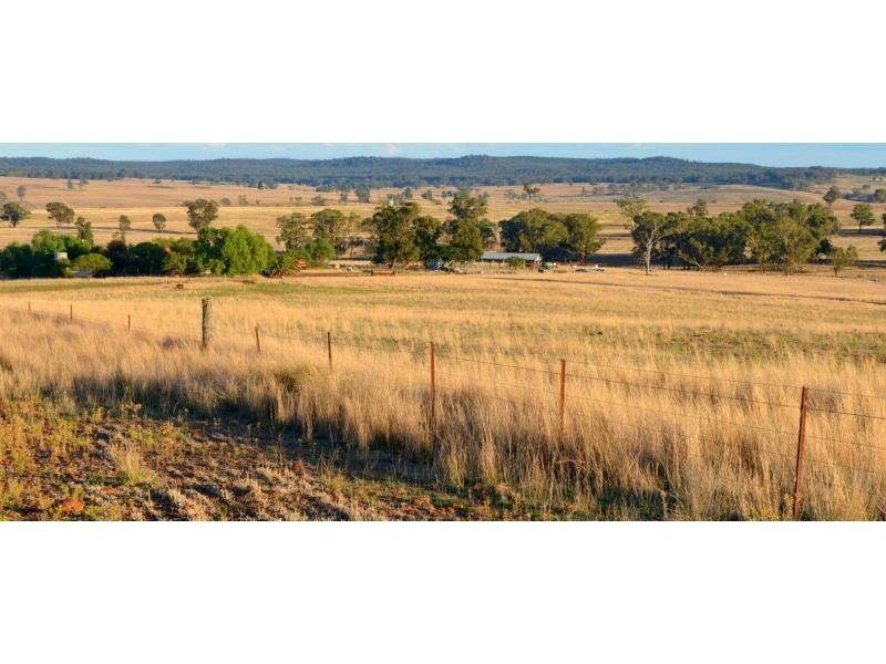 “Pine Park” &”Ewetopia” Boomley Road, Elong Elong NSW 2831