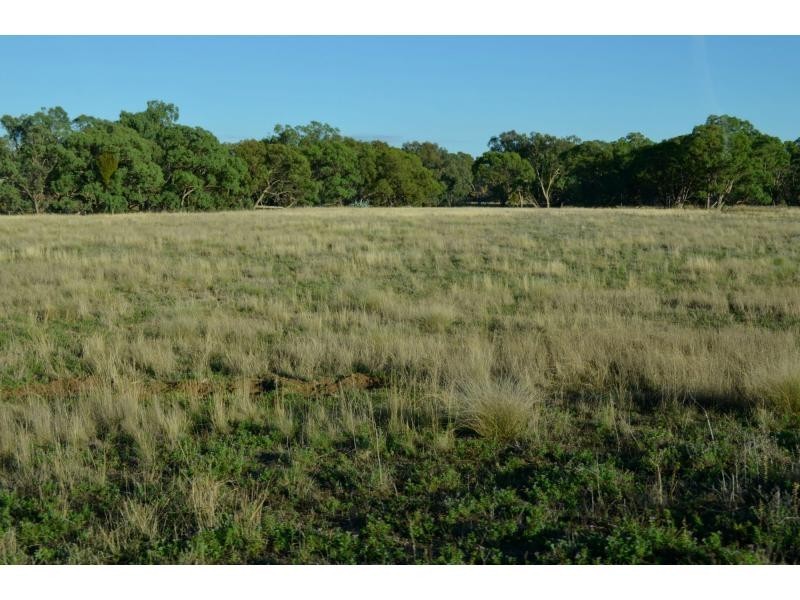“Pine Park” &”Ewetopia” Boomley Road, Elong Elong NSW 2831