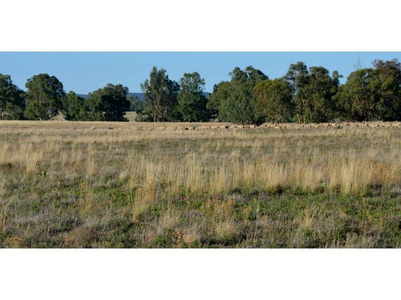 “Pine Park” &”Ewetopia” Boomley Road, Elong Elong NSW 2831