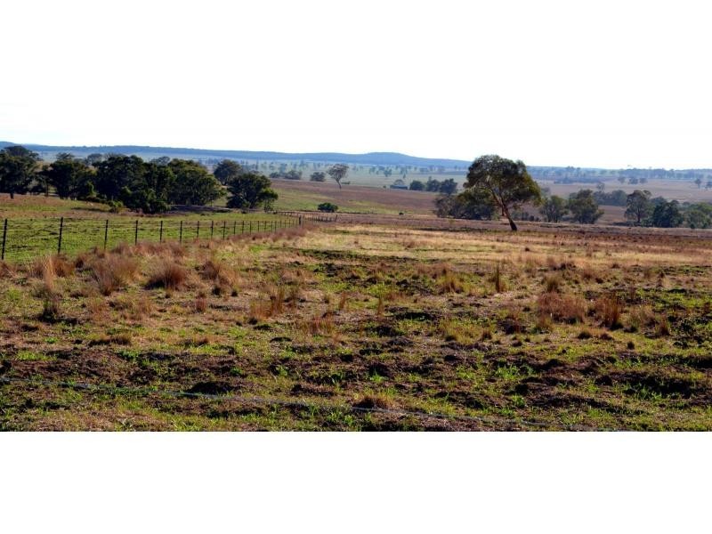 “Pine Park” &”Ewetopia” Boomley Road, Elong Elong NSW 2831