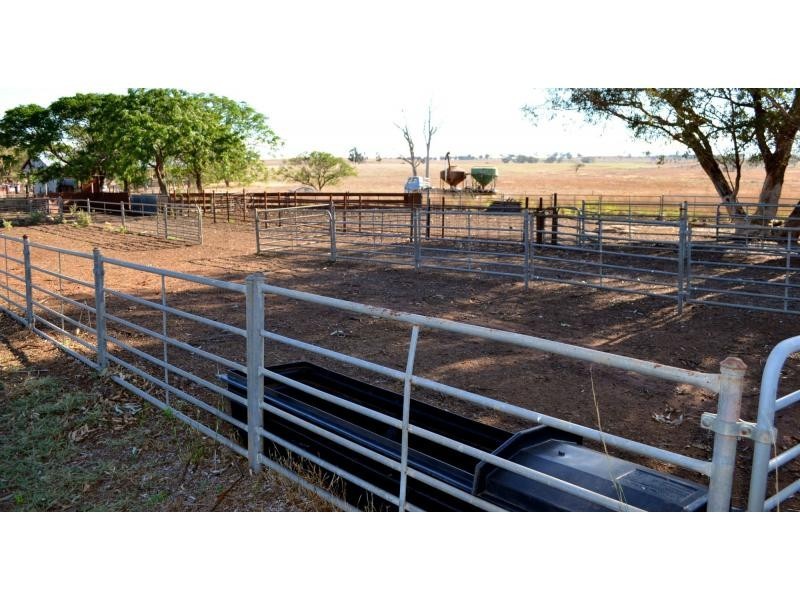 “Pine Park” &”Ewetopia” Boomley Road, Elong Elong NSW 2831