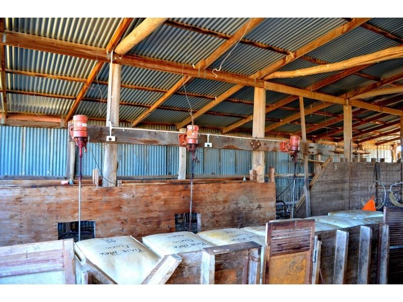 “Pine Park” &”Ewetopia” Boomley Road, Elong Elong NSW 2831