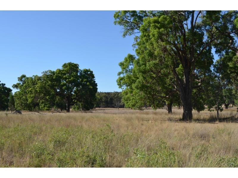 “Pipeclay” Yarragrin Creek, Mendooran NSW 2842
