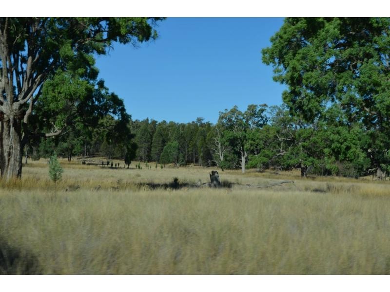 “Pipeclay” Yarragrin Creek, Mendooran NSW 2842