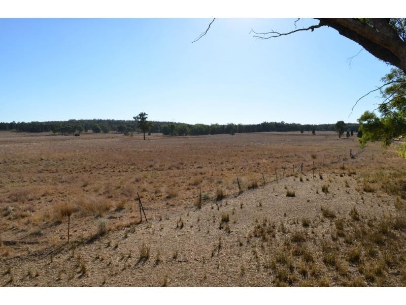 “Pipeclay” Yarragrin Creek, Mendooran NSW 2842