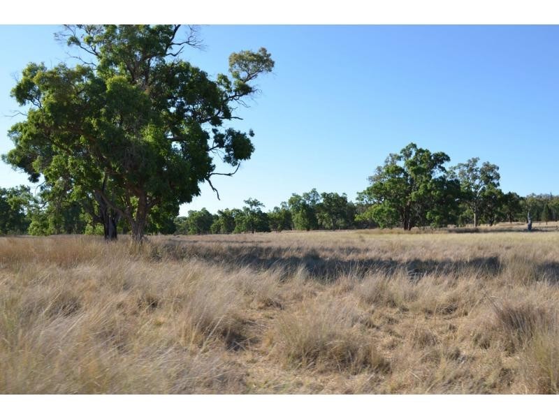 “Pipeclay” Yarragrin Creek, Mendooran NSW 2842