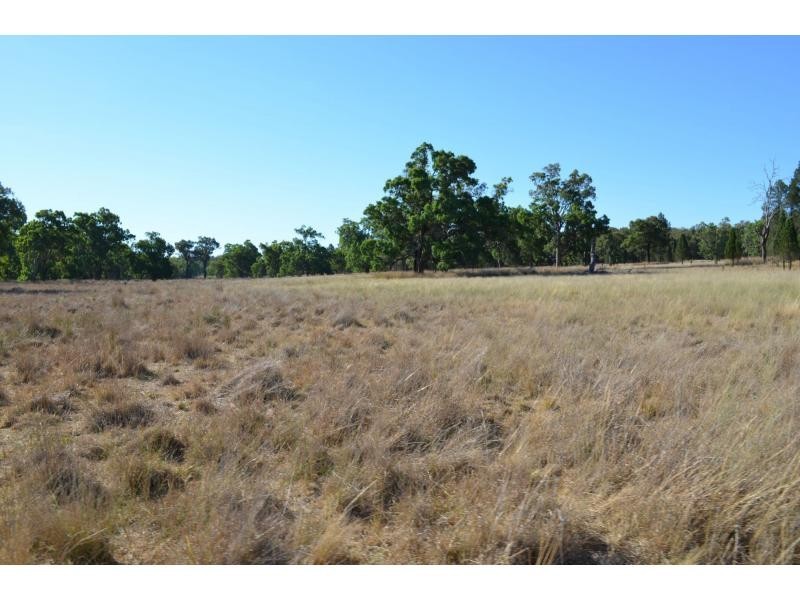 “Pipeclay” Yarragrin Creek, Mendooran NSW 2842