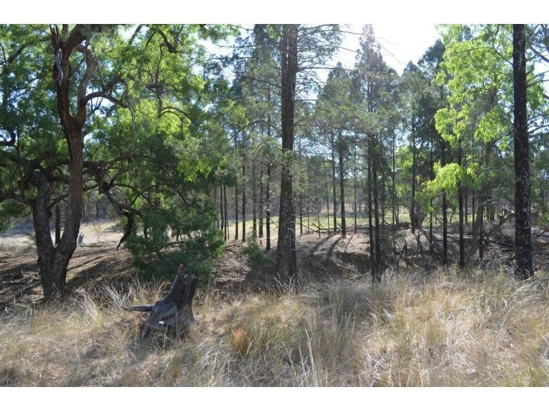 “Pipeclay” Yarragrin Creek, Mendooran NSW 2842