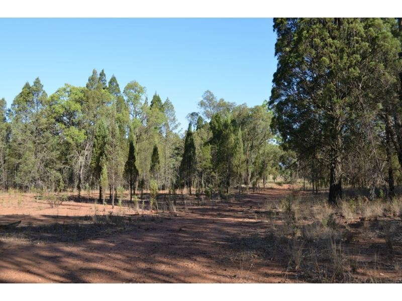 “Pipeclay” Yarragrin Creek, Mendooran NSW 2842