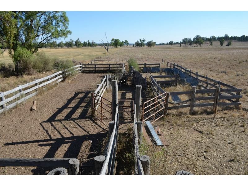 “Pipeclay” Yarragrin Creek, Mendooran NSW 2842