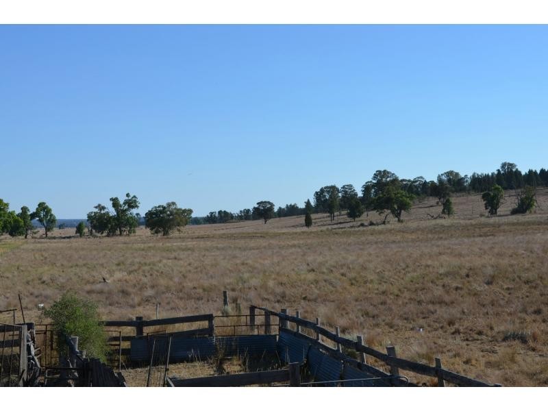 “Pipeclay” Yarragrin Creek, Mendooran NSW 2842
