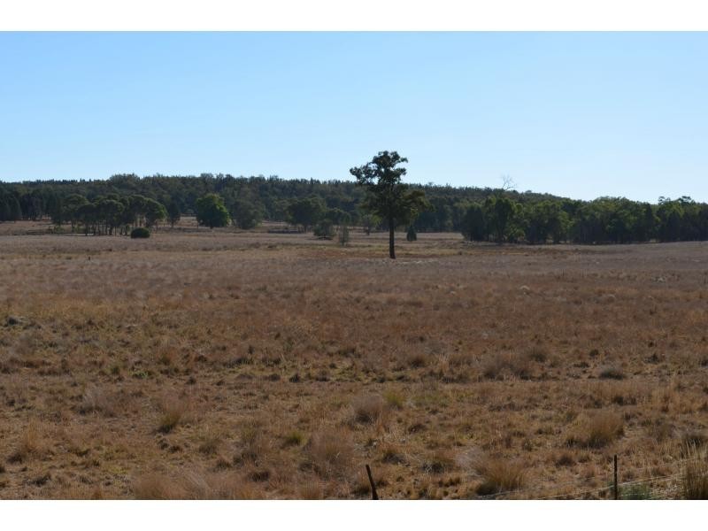 “Pipeclay” Yarragrin Creek, Mendooran NSW 2842