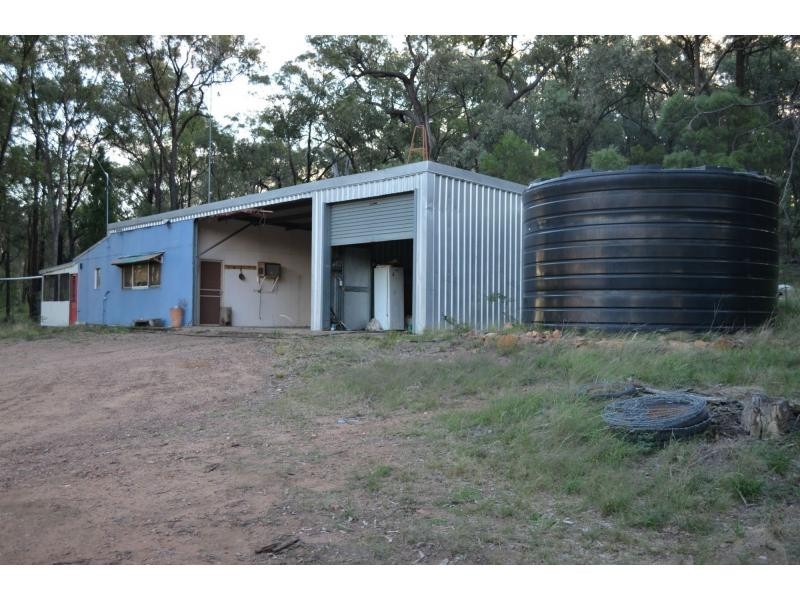L3 Patrick Road, Dunedoo NSW 2844