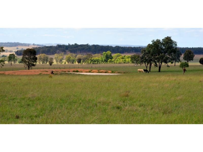 L3 Patrick Road, Dunedoo NSW 2844