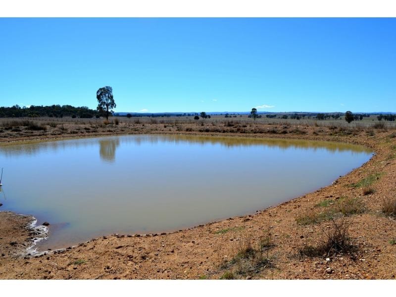 L3 Patrick Road, Dunedoo NSW 2844