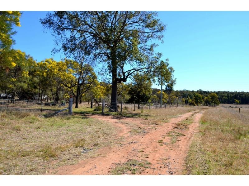 L3 Patrick Road, Dunedoo NSW 2844