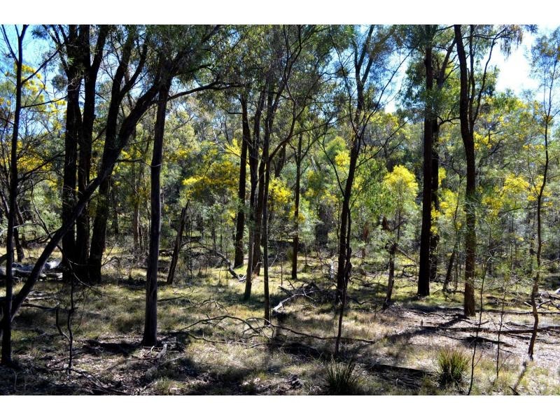 L3 Patrick Road, Dunedoo NSW 2844