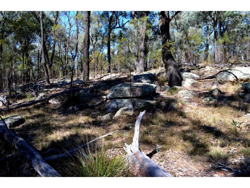 L3 Patrick Road, Dunedoo NSW 2844