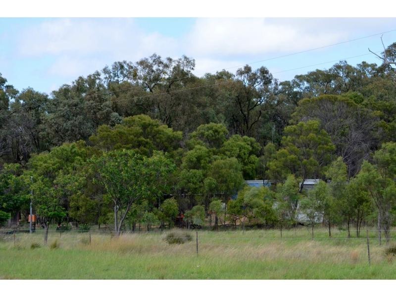 L3 Patrick Road, Dunedoo NSW 2844