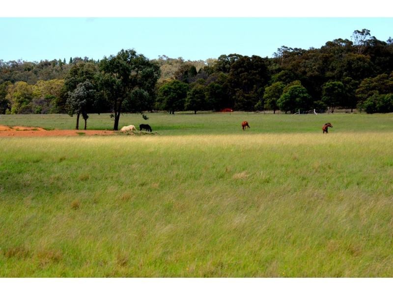 L3 Patrick Road, Dunedoo NSW 2844