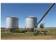 Breelong NSW 2827