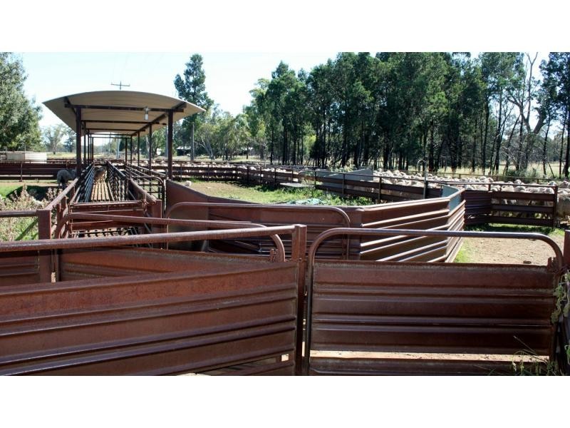 Breelong NSW 2827