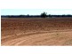 Breelong NSW 2827
