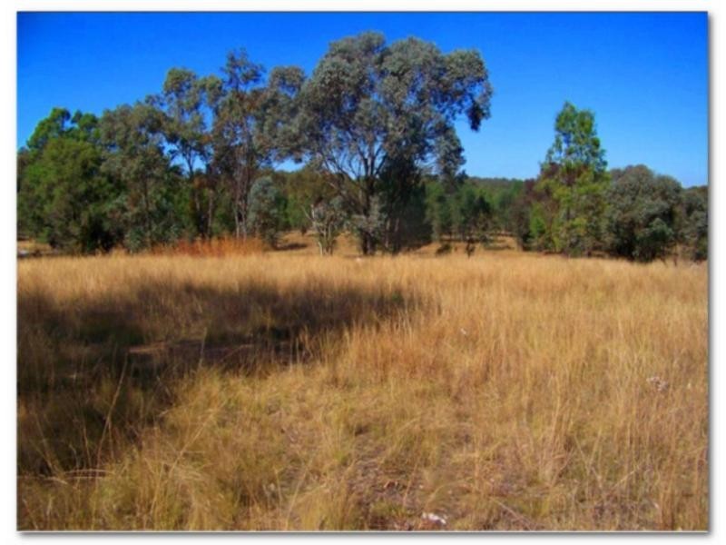 “Typhoon” Lot 29, Rocky Glen NSW 2357