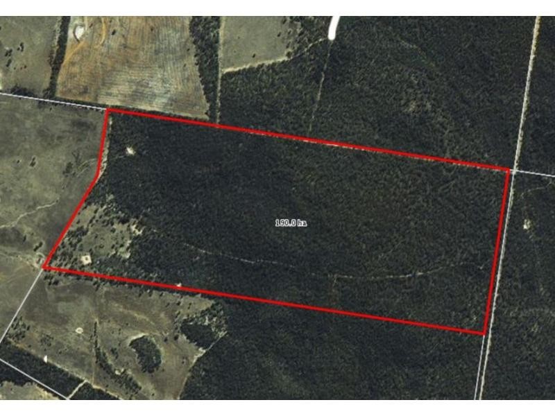 “Typhoon” Lot 29, Rocky Glen NSW 2357