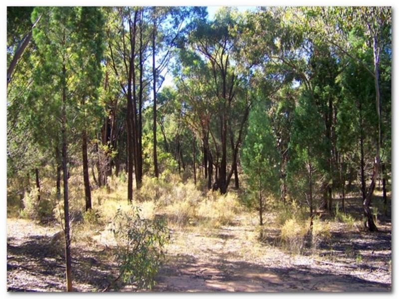 “Typhoon” Lot 29, Rocky Glen NSW 2357