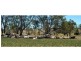 Dunedoo NSW 2844
