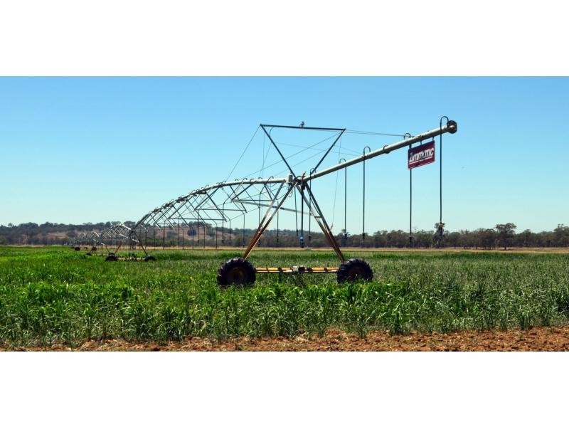 Dunedoo NSW 2844