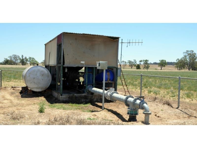 Dunedoo NSW 2844