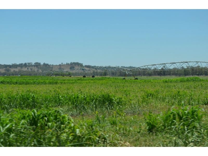 Dunedoo NSW 2844