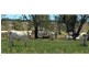Dunedoo NSW 2844