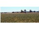 Dunedoo NSW 2844