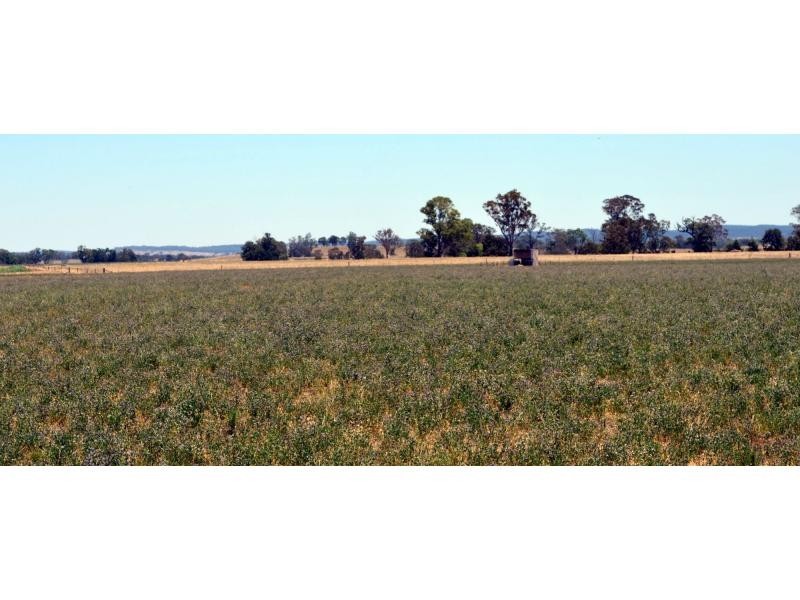 Dunedoo NSW 2844